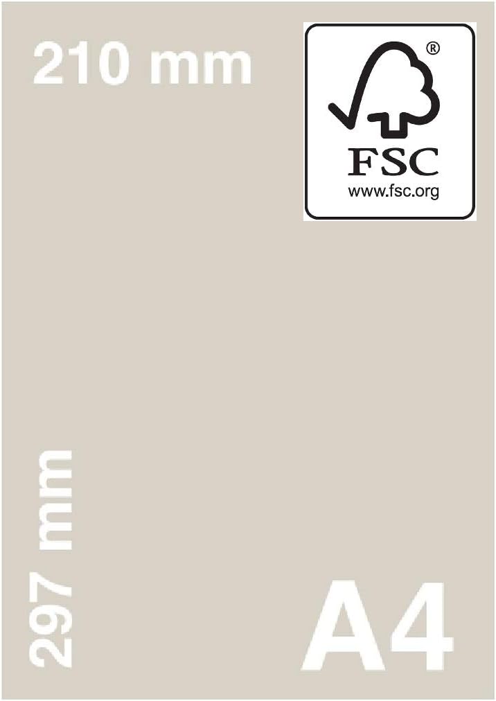 A4 Light Blue Colour Paper 80gsm Sheets Double Sided Printer Paper Copier Origami Flyers Drawing School Office Printing 210mm x 297mm (A4 Light Blue Paper - 80gsm - 500 Sheets)