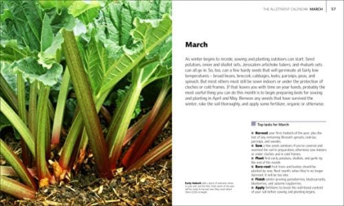Allotment Month By Month: Grow your Own Fruit and Vegetables, Know What to do When