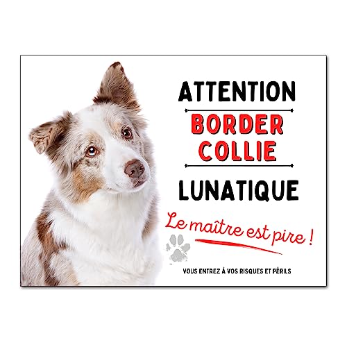 Plaque de portail humour Attention Border Collie bizarre panneau attention au chien
