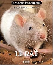 Download Le Rat PDF