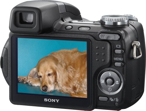 sony cybershot dsc h5 7 2mp digital camera with 12x optical image stabilization zoom