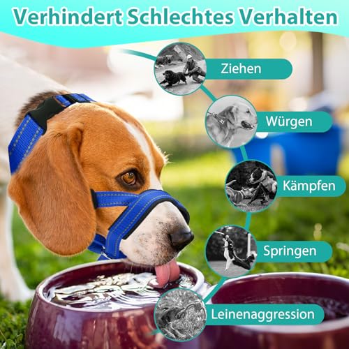 Halti Für Große Hunde, Hundehalfter Mit Gepolstertem Stoff, Verstellbar Ziehen Verhindert Halti Kopfgeschirr, Weich Anti-Zug-Halsband Für Große Hunde (Blau, L (Schnauze: 11,6-14,8zoll))