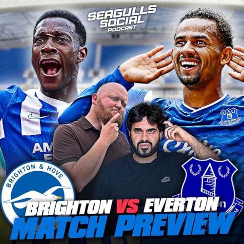 Can Brighton Break Down Economic Everton At The Amex? | Brighton vs Everton | MATCH PREVIEW