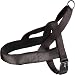 Norweger-Geschirr Abbi SCHWARZ S 40-50CM 20MM