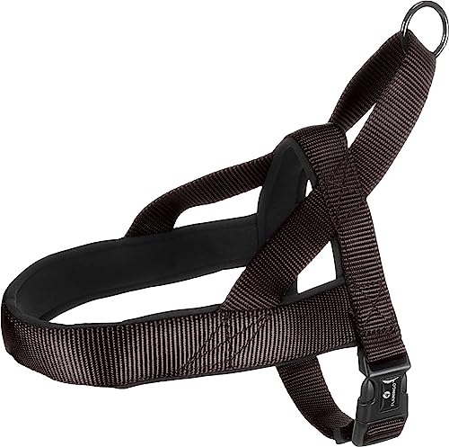 Norweger-Geschirr Abbi SCHWARZ S 40-50CM 20MM