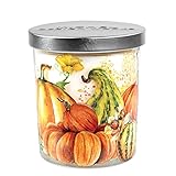 Michel Design Works Scented Jar Candle with Lid, Pumpkin Prize Scented