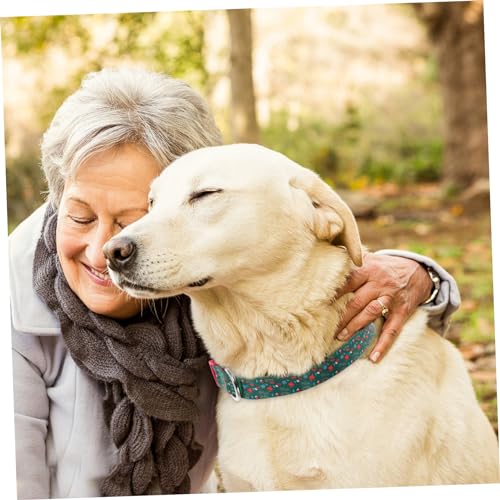 Collier de chiens d'une finition durable et confortable pour animaux de compagnie