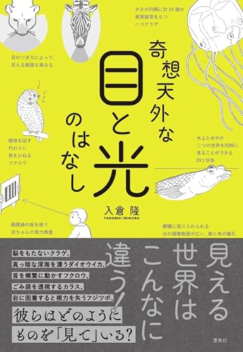 奇想天外な目と光のはなし
