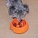 Super Design Anti-Gulping Dog Bowl Slow Feeder, Interactive Bloat Stop Pet Bowl for Fast Eaters 1.5 Cup Orange