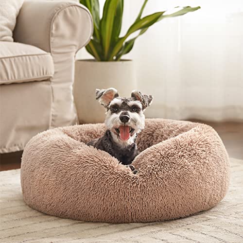 Bedsure Calming Dog Bed For Small Dogs - Donut Washable Small Pet Bed, 23 Inches Anti Anxiety Round Fluffy Plush Faux Fur Large Cat Bed, Fits Up To 25 Lbs Pets, Camel #TOP4