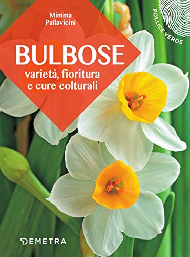 Bulbose: Varietà, Fioritura E Cure Colturali