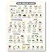 Vegan Health Foods Chart Fridge Magnet | Nutritional Guide for Keto High Protein Vegan & Vegetarian Diets | Decorative Food Magnet Cheat Sheet | Durable & Waterproof | 8.5" x 11" Size