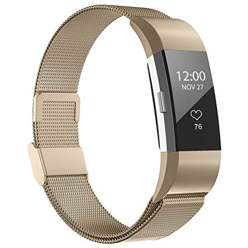 iGK Replacement Bands Compatible for Fitbit Charge 2, Stainless Steel Metal Bracelet with Unique Magnet Clasp Champagne Large