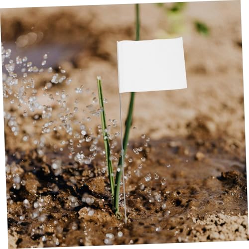 Drapeaux d'arpentage blancs pour jardin et repérage d'asperseurs