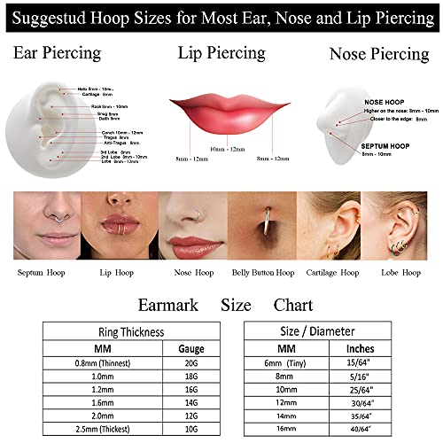Surgical Stainless Steel Hoop Earrings Small: Hypoallergenic Little Hoops Set For Cartilage Helix Daith Tragus Rook Conch, 2Nd Hole, 3Rd Hole, Earlobe Multiple Piercing - 18G Endless Hinged Hoop Earrings For Women Men Multipack, Pack Of 12 Pairs #TOP4