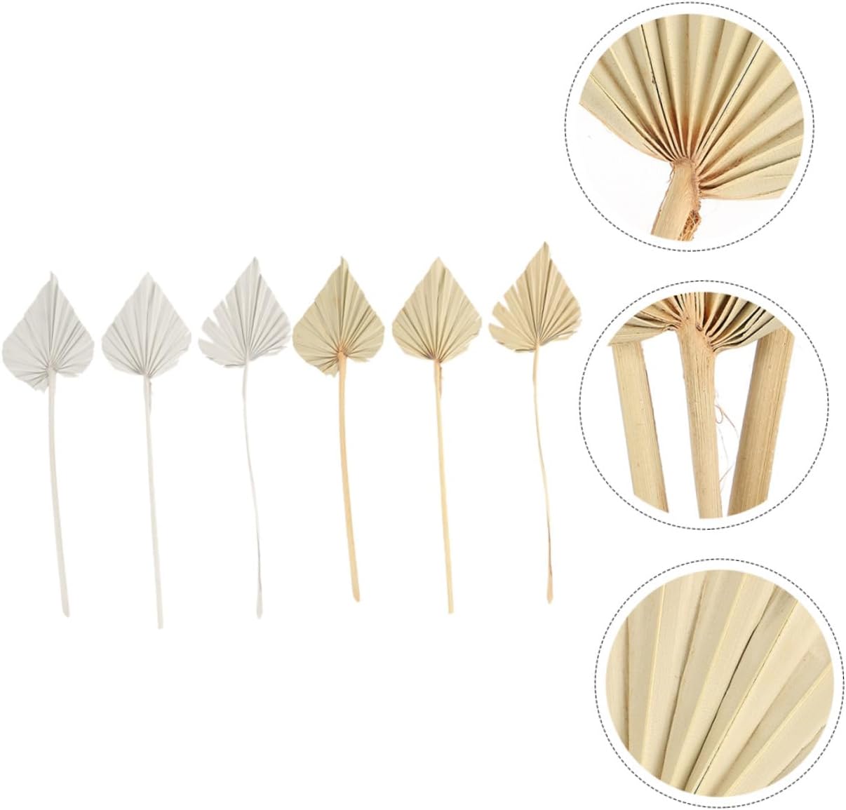 LIFKOME 6Pcs Decorative Dry Palm Leaf Bouquet Unique Leaf Adorn for Cocktail Party Rustic Home Vibrant Natural Atmosphere Floral Arrangement