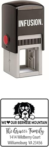 Vista 19 de Infusion Sello de goma cuadrado personalizado para raza de perro (Labrador Retriever)