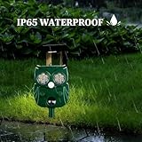 Bogutongjin B0FM7WSX29 lato 3