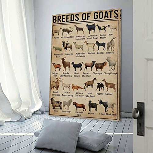 Tomart Breeds Of World Poultry Goats Vintage Poster Farm Decor Canvas Print Canvas Painting Posters And Prints Wall Art Pictures For Living Room Bedroom Decor 24X36Inch(60X90Cm) Frame-Style #TOP2