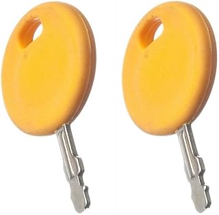 2 Pack Cub Cadet Starter Ignition Key 925-2054A, 725-2054A + Free ebook (Lawn You Dream of)