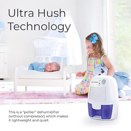 Pohl Schmitt Electric Dehumidifiers For Home, 2200 Cubic Feet (225 Sq Ft) Portable Compact 17 Oz Capacity Mini Quiet Dehumidifier For Bedroom, Bathroom, Rv, Laundry Room Or Closet #TOP1