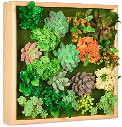 HomeLifairy Artificial Succulent Wall Decor Faux Plants Art for Home Decor Indoor with Pine Frame Hanging Living Room Kitchen Wall Decor,12x12 inch