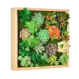 HomeLifairy Artificial Succulent Wall Decor Faux Plants Art for Home Decor Indoor with Pine Frame Ha