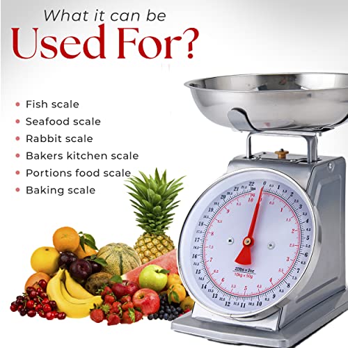 Alpine Cuisine Stainless Steel Analog Kitchen Scale Silver - Mechanical Kitchen Weighing Food Scale Weighs Up To 22 Lbs, Analog Food Scale For Kitchen - Measures Grams And Ounces - Food Weight Scale #TOP5