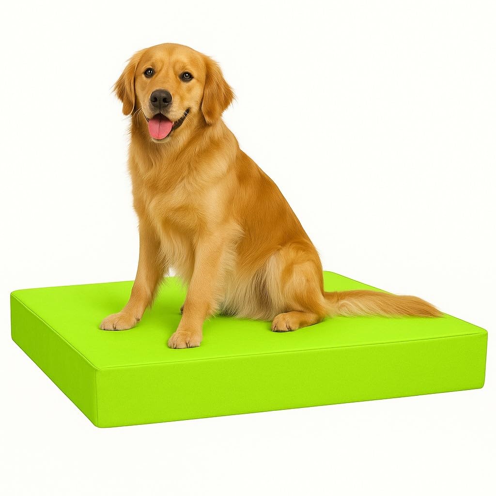 FOAMSUPA Heavy Duty Pet Dog Bed Mattress Mat Cushion with Tough Waterproof cover (Lime Green, X Large 105cm x 70cm x 5cm – 42″ x 28″ x 2″)