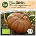 Little Plants BIO Kürbis Samen 5 Kürbissamen Muscat de Provence Muskatkürbis Gemüsesamen Gemüsesaatgut Samenfest für Gemüsegarten, Hochbeet, Küche, Balkon und Garten