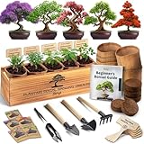 DIY Bonsai Tree Kit for Beginners – 5X Unique Japanese Bonzai Trees | Complete Indoor Bonsai Starter Kit for Growing Bonsai Plants with Tools & Planters – DIY Gardening Gifts for Women & Men