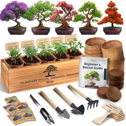 DIY Bonsai Tree Kit for Beginners – 5X Unique Japanese Bonzai Trees | Complete Indoor Bonsai Starter Kit for Growing Bonsai Plants with Tools & Planters – DIY Gardening Gifts for Women & Men