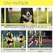 Imagen de Froadp Agility Sports Juego de barras de salto para perros