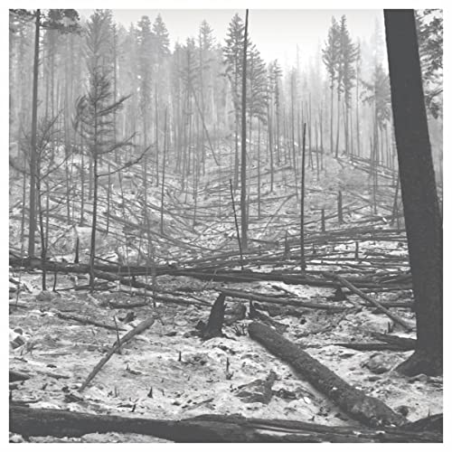 shared territory, Kusa & KING KVNG