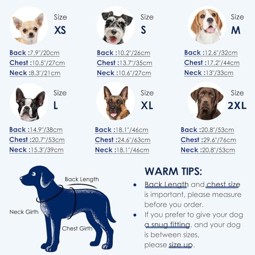 Image of KOESON Lightweight & Soft Surgery Recovery Suit for Large Dogs Female Male