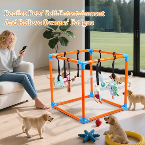 Gymnase de jeu pour chiots interactif orange pour salon et élevage - 7