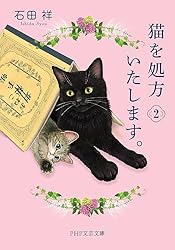 猫 商品　※他の方のご購入はキャンセルさせていただきます。 SHIPOPO キャットタワー キャットハウス キャットツリー 突っ張り