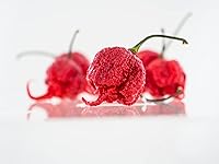 Vista 2 de Pepper Joe's Carolina Reaper Seeds - Paquete de 10 semillas de chile más calientes del mundo, cultivadas en Estados Unidos, semillas de Carolina