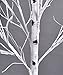 ECOLINEAR Prelit Birch Tree 48 LEDs Light Silver Twig Warm White White Branches (4 Feet) Home Festival Party Christmas Indoor and Outdoor