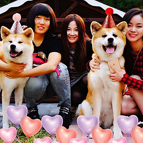 Beiabang 8 Pcs Dog Birthday Hat For Pets Party Pet Headband Hats Charms Grooming Accessories Photo Props For Puppy Kitten Small Cats Dogs #TOP6