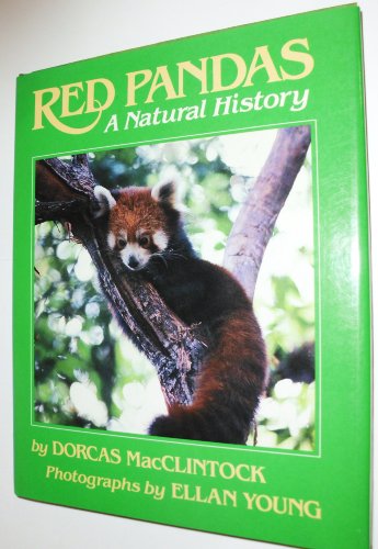 Red Pandas: A Natural History 0684186772 Book Cover