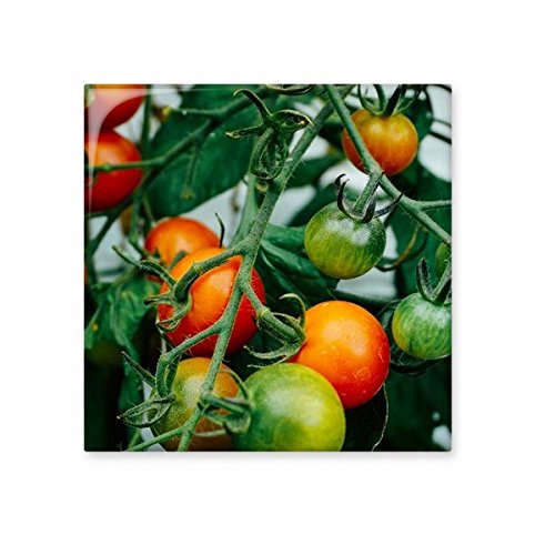 Photo brillant carrelage en céramique fruits pour mur et cadeau
