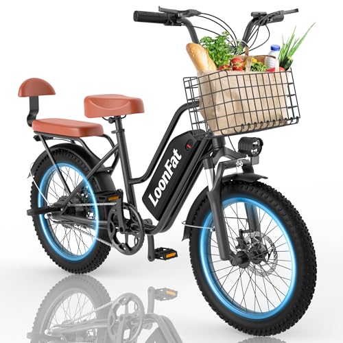 LoonFat T20 2-Seat Ebike
