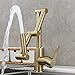 Tecmolog Brushed Gold Pot Filler Faucet Deck Mount Brass Folding Kitchen Sink Faucet for Hot and Cold Water, BJ21231