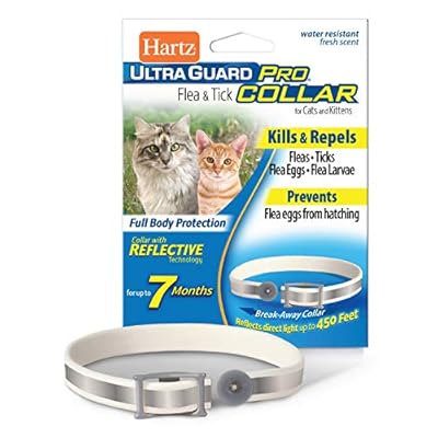 buy revolution for cats amazon