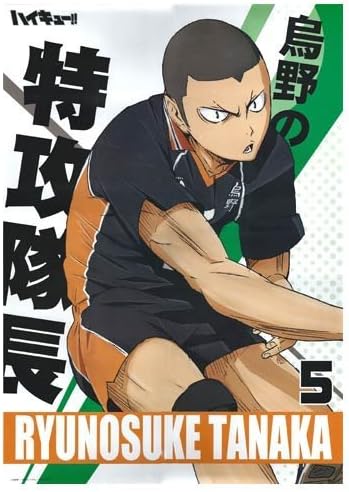 Amazon ハイキュー ポスターコレクション E 田中龍之介 単品 アニメ 萌えグッズ 通販