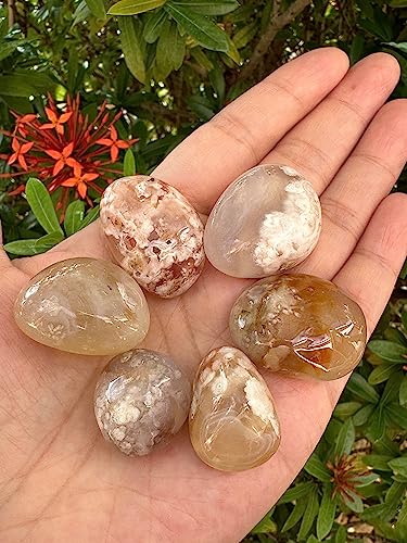 Image of 1 /2 LB Tumbled Stones - Polished Flower Agate Gemstone Healing Crystals