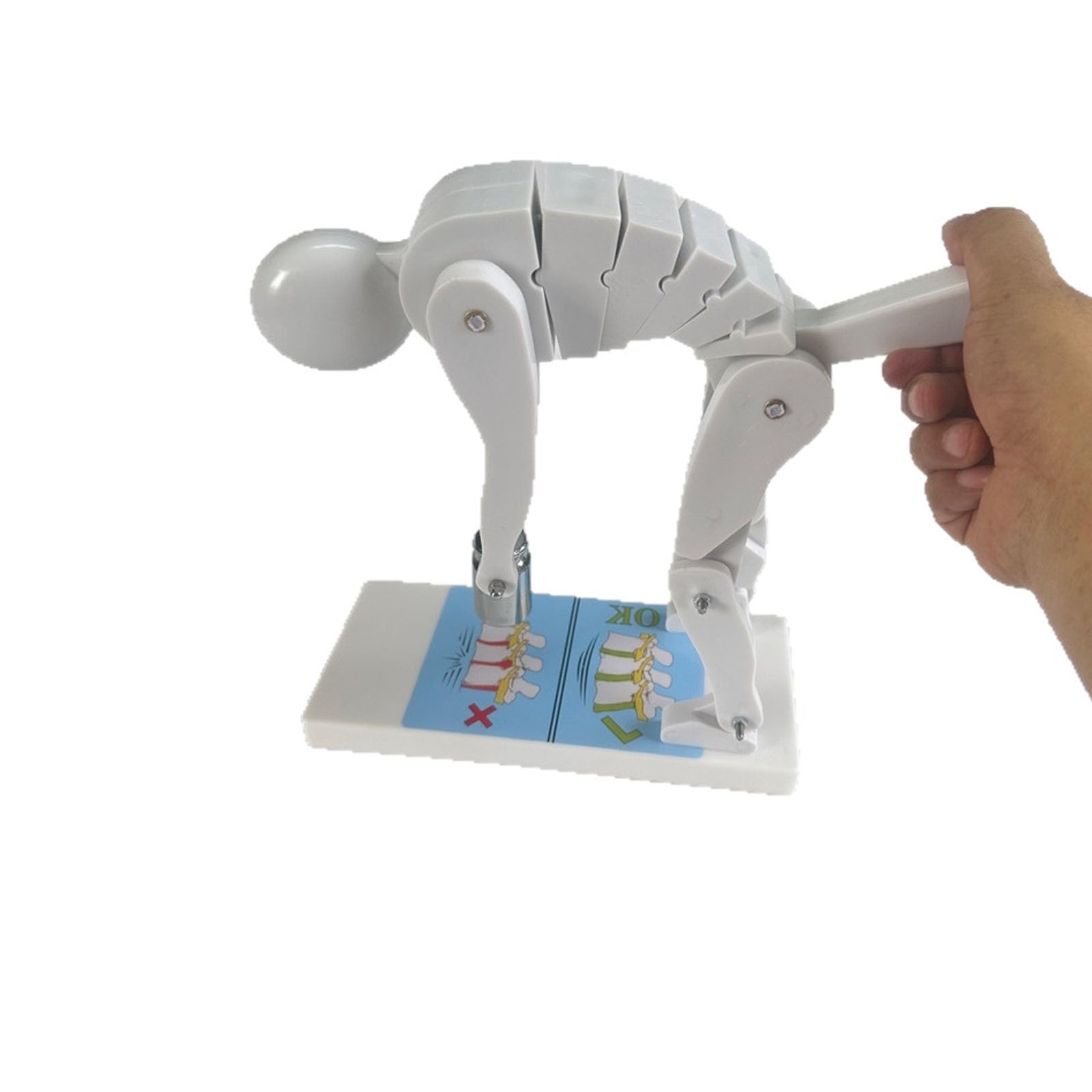 Fcttcd Correct Lifting Model, Body Bending Weight Lifting Spine Force Model, Lifting Demonstration Figure Model With Base, For Body Posture Demonstration, Lumbar Spine Protection White
