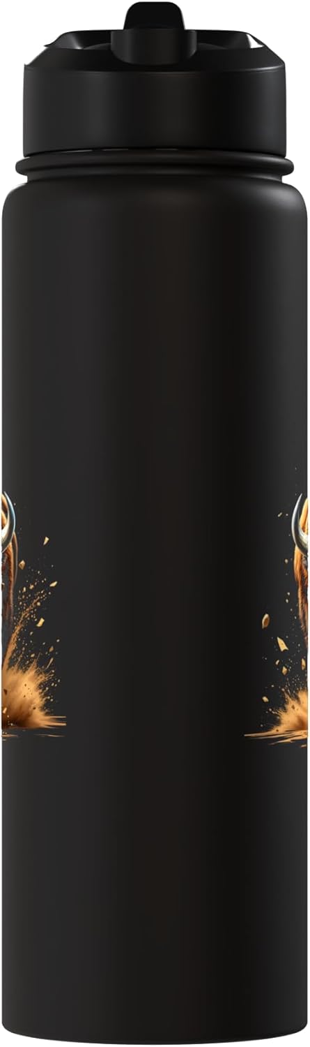 Bison Stainless Steel Insulated Water Bottle
