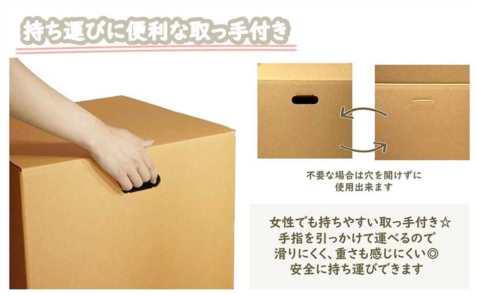 段ボール 120サイズ 15枚セット 取っ手穴付き ダンボール 引っ越し 配送 梱包 【プラダンボックス】 D1-T-15